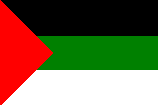 Arab Revolt Flag